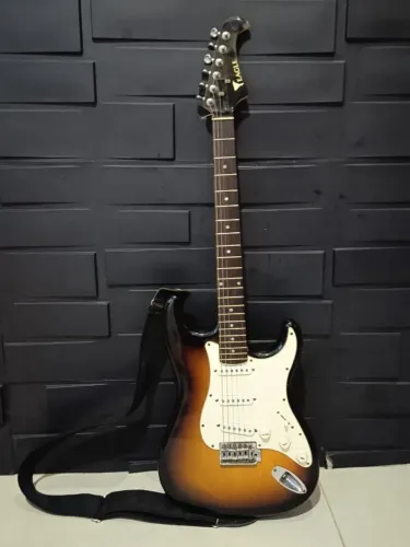 Guitarra Eagle stratocaster relíquia