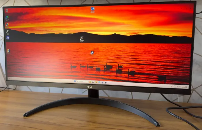 Monitor LG 29 Polegadas UltraWide 100Hz