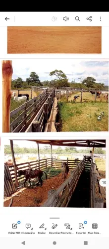 Fazenda Piauí Matopiba Parnaguá