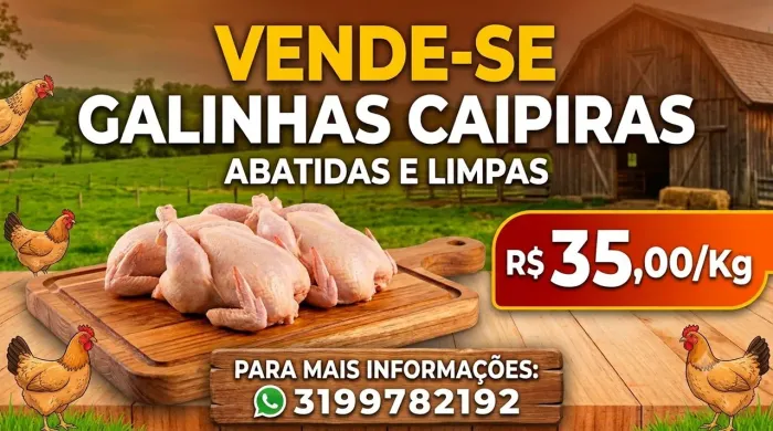 Vende-se galinhas ? caipiras