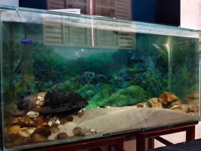Aquário 200 litros