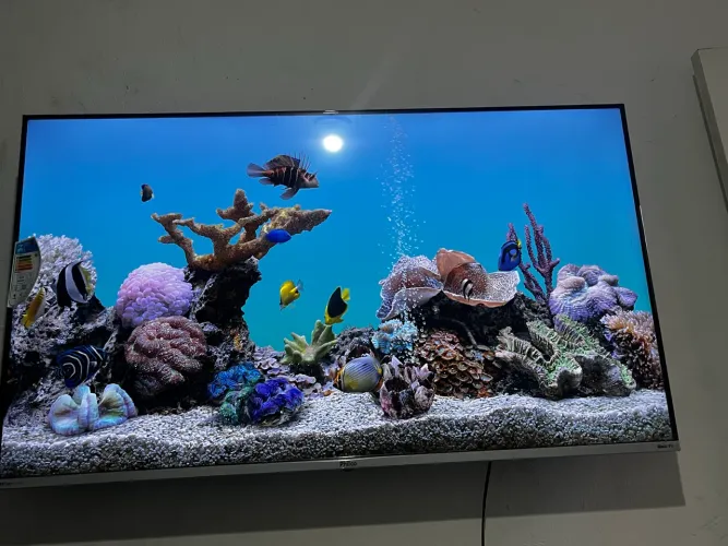 Smart Tv 50 polegadas