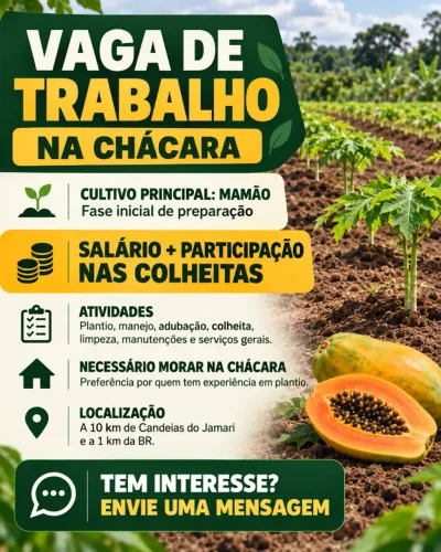 Contrato trabalhador para chácara com experiência