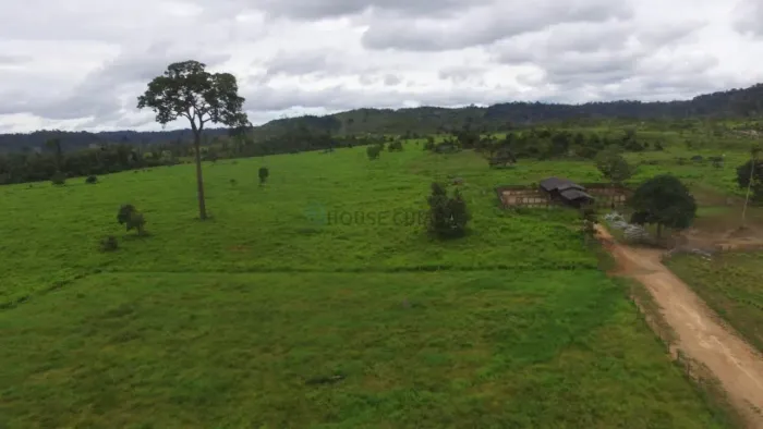 VENDO!!! Uma fazenda de 248 alqueires, (595,20 hectares), 70 km de nova bandeira