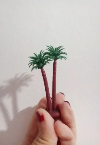 coqueirinho