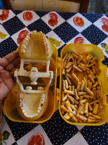 Manequim odontológico articulado com dentes extras .