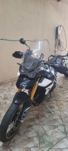Tiger zerada