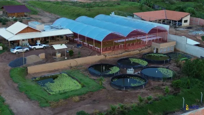 Chácara com Estrutura de Agronegócio (Hidroponia e Piscicultura) à Venda - Área Rural de V