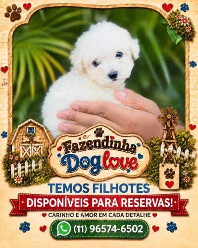 POODLES