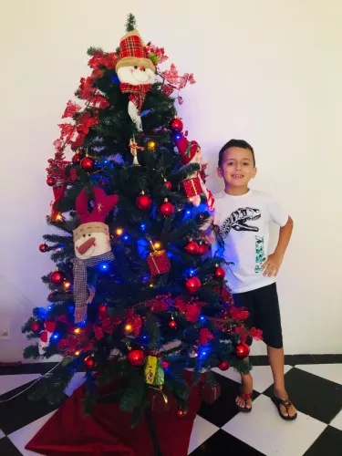 Árvore de Natal + Decoração