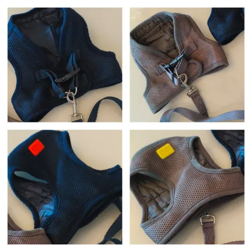 Coleiras Puppy tipo jaqueta 