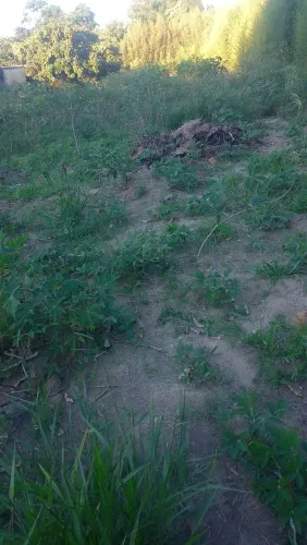 Alugo terreno para torre telefônica etc