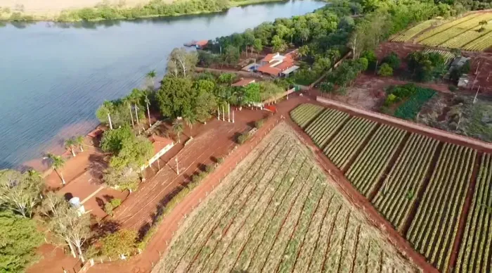 Área Rural à venda - Triângulo Mineiro