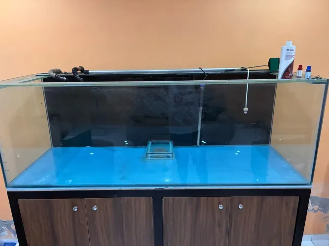 Aquário completo 660L