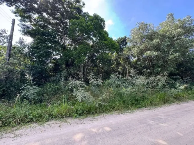 Lote/Terreno à Venda, Bopiranga - Itanhaém