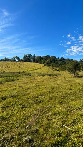 Chacrinhas em Nova Santa Rita