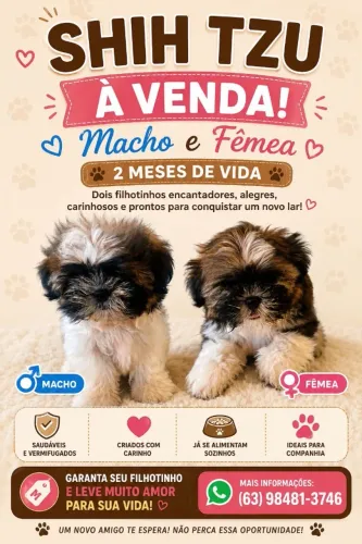 Animais 
