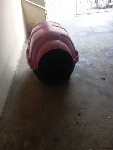 casa para cachorro grande ?