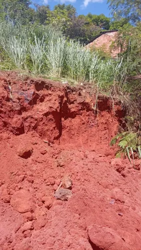 Doação de terra saibo