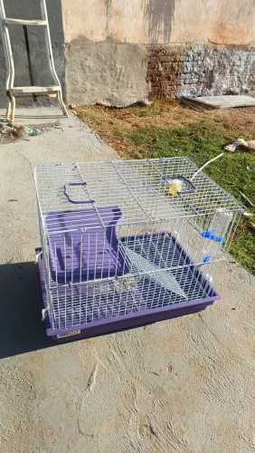 vendo gaiola para ramister