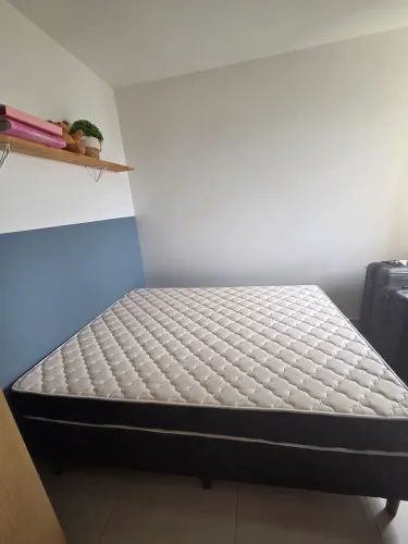 Cama Casal espuma D33 Castor + BOX  