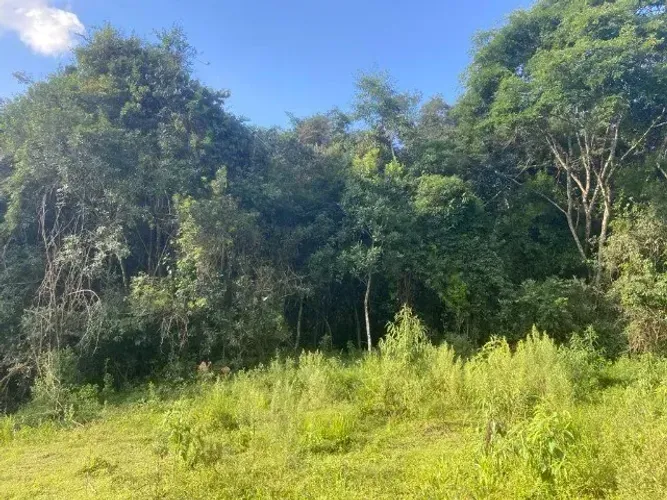 Lugar especial!! Chácara de 5.000m2 em Marmelópolis/MG