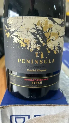 Promoção de vinhos chileno 29,00