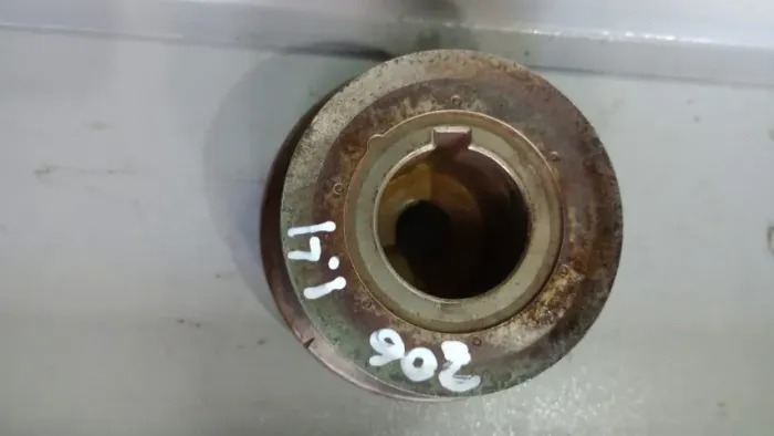 Polia dentada vira brequim Peugeot 1.4