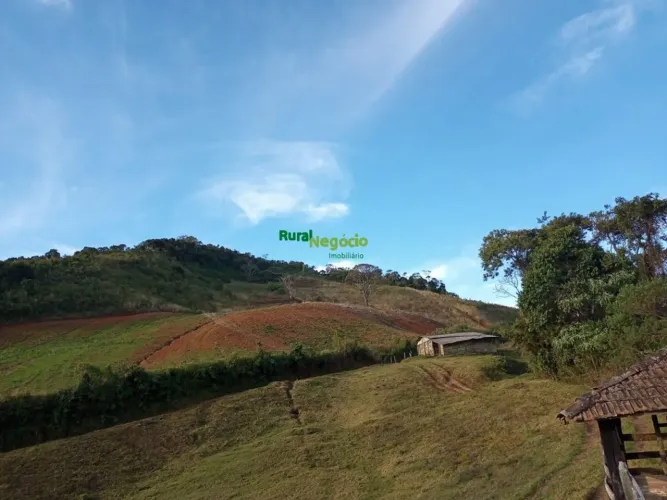 SÍTIO SEM BENFEITORIAS EM MARIA DA FÉ-MG