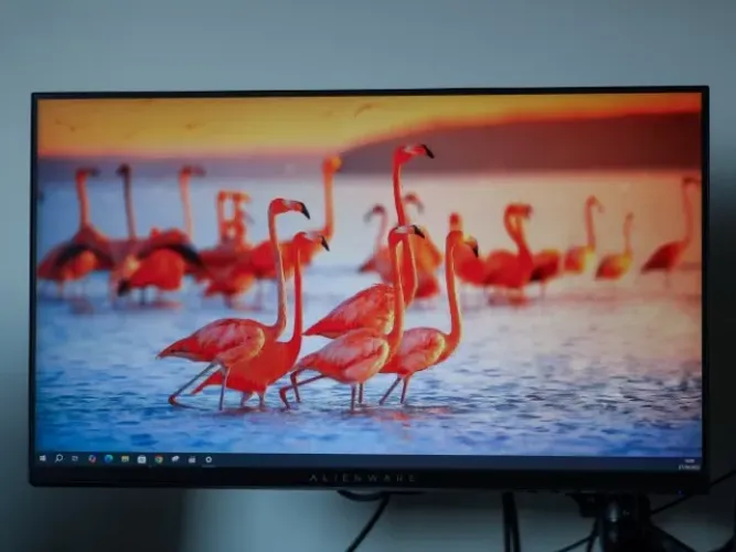 Monitor Gamer Alienware 24,5" 240HZ