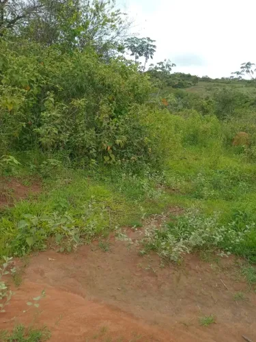 Ótimo sítio venda em São João Nepomuceno MG. 90 hectares