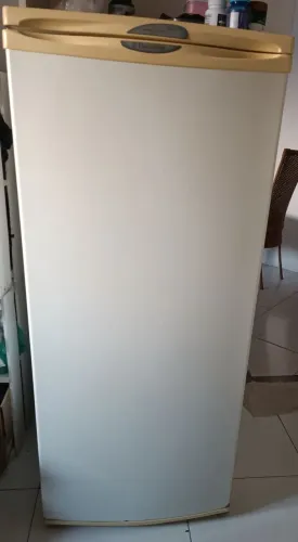 FREEZER ELECTROLUX F 170