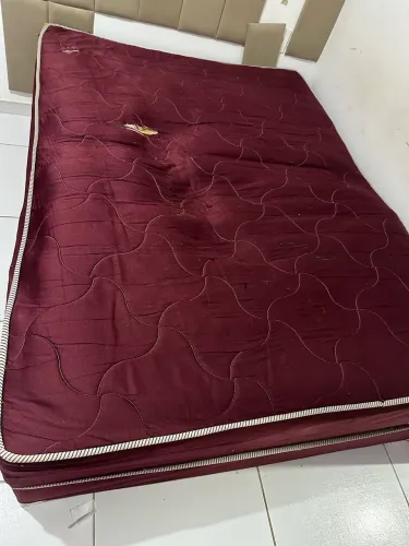 Cama