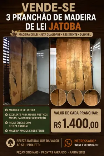 tábua