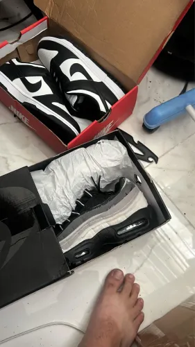 Air max 95 e dunk panda low
