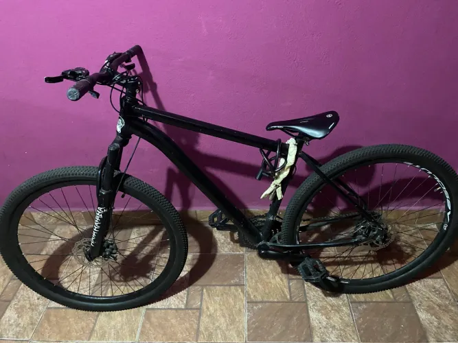 Bicicleta 