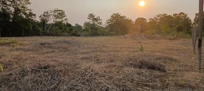 Terrenos em Belterra