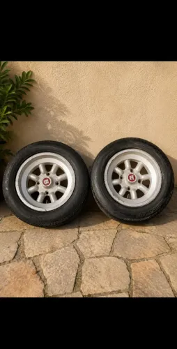 Par Rodas fusca