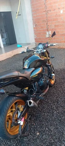 Hornet 2010