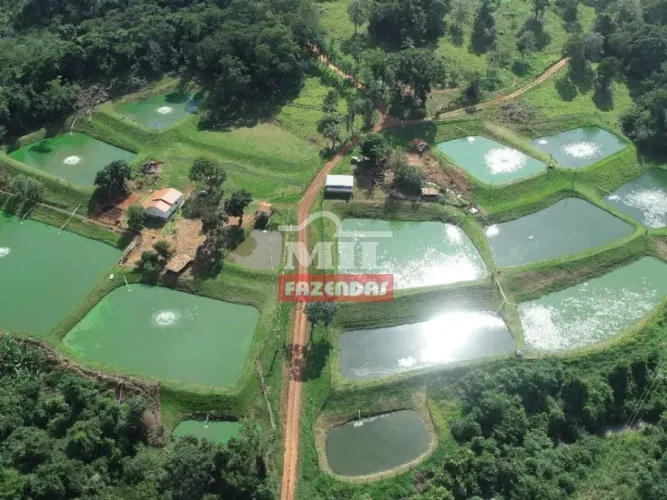 Chácara 5 Alqueires (24,5 hectares) Orizona - GO
