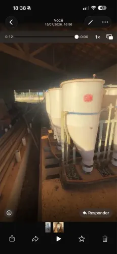 Comedouro Cocho suínos usados