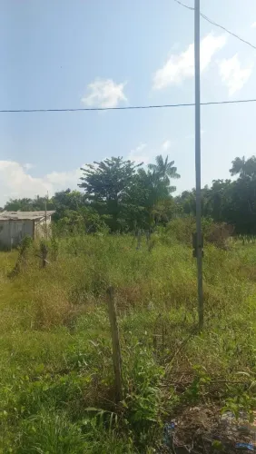 Terreno em Mosqueiro