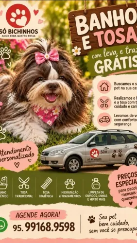 Estética Animal / Leva e traz GRÁTIS