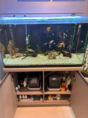 Aquario 200 litros