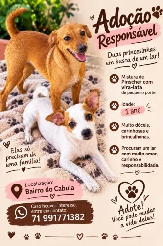 Adoção responsvel- Duas irmãs
