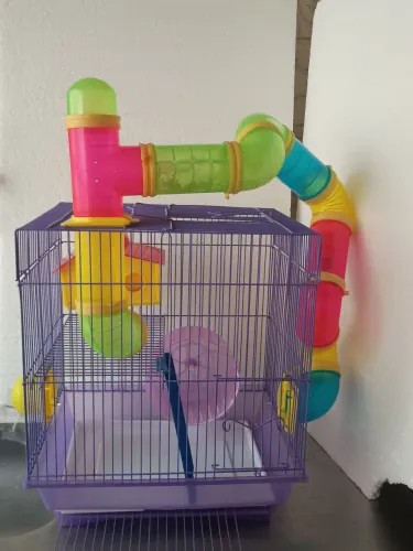 Gaiola hamster