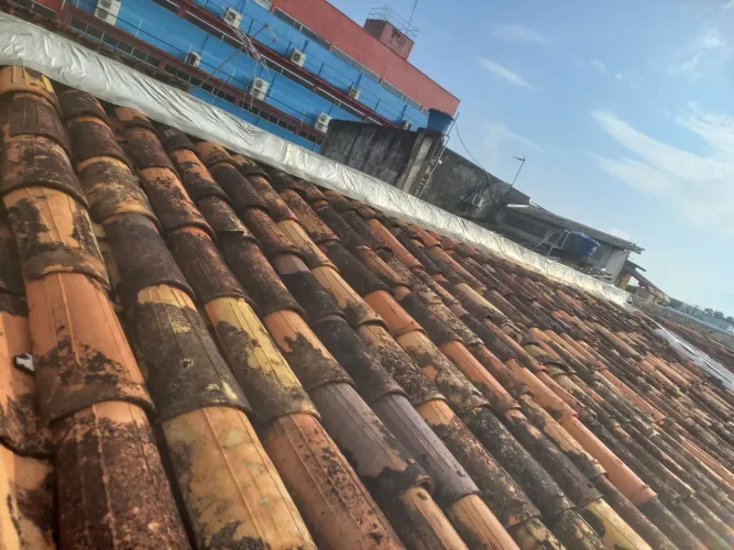 Profissional telhadista 