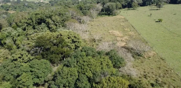 Sítio / Área Rural à venda - Sete Cruzes, Porangaba/SP | 5,8 hectares | Venda direta