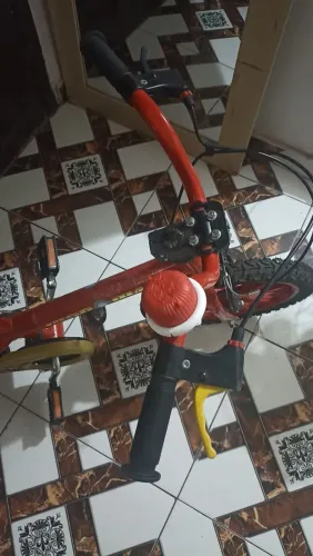 Bicicleta