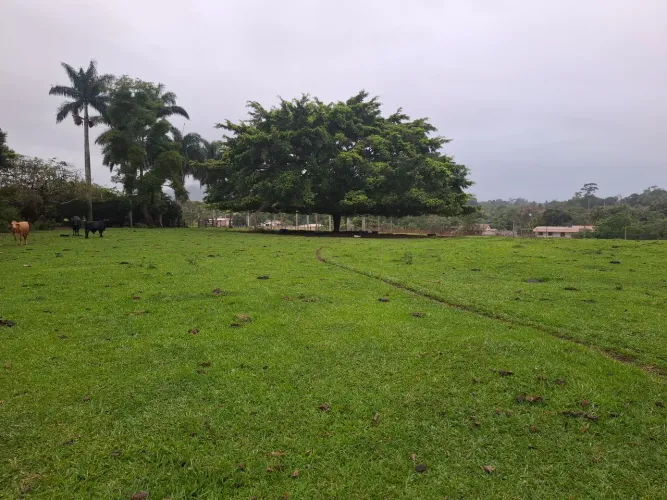 Preciso trabalhador rural leite e gado